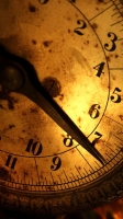 № 53