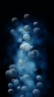 № 54