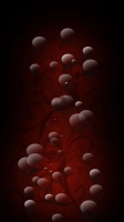 № 55