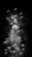 № 56