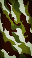 № 72
